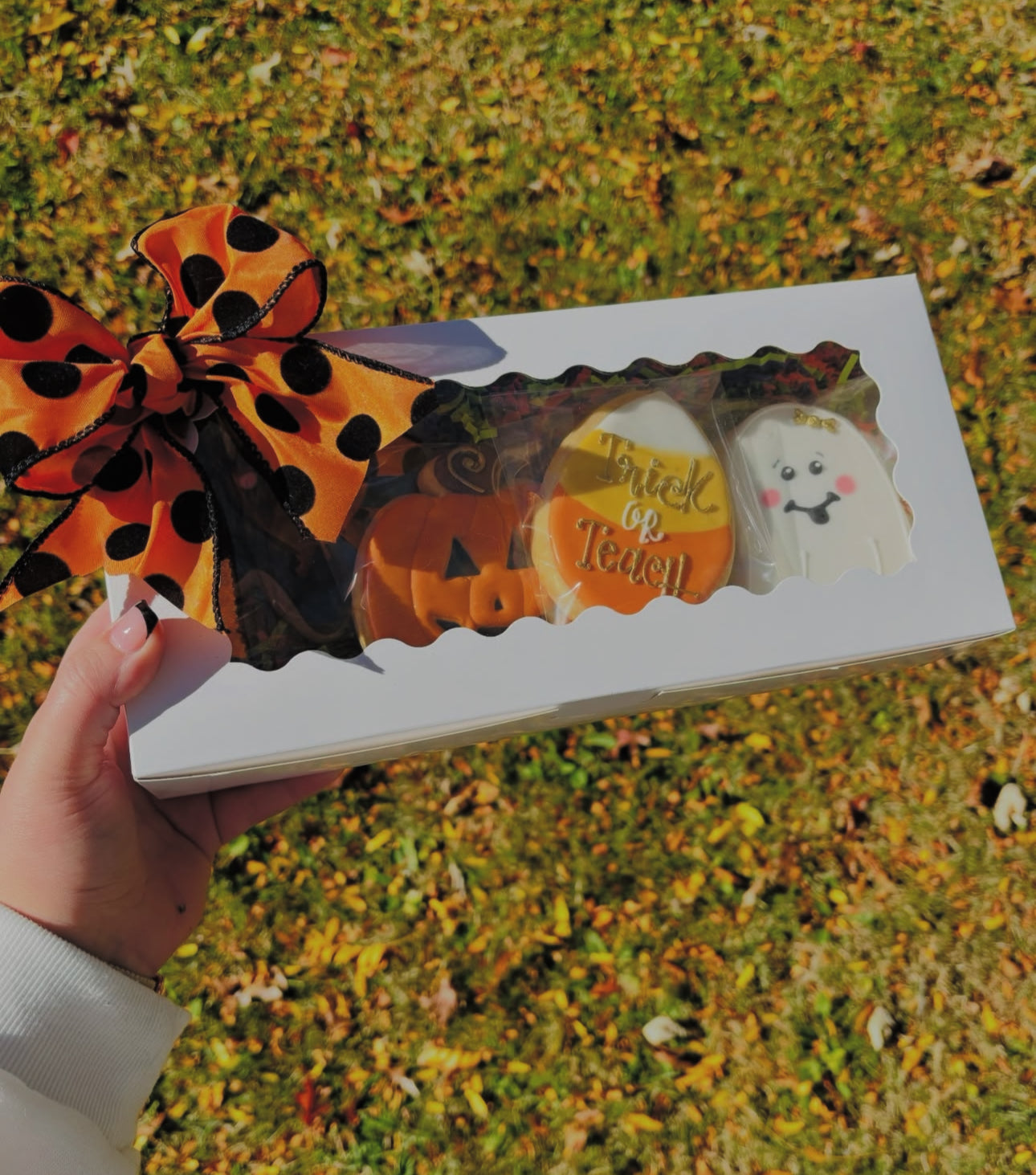 Cute Trick or Teach Teacher Halloween Gift Set